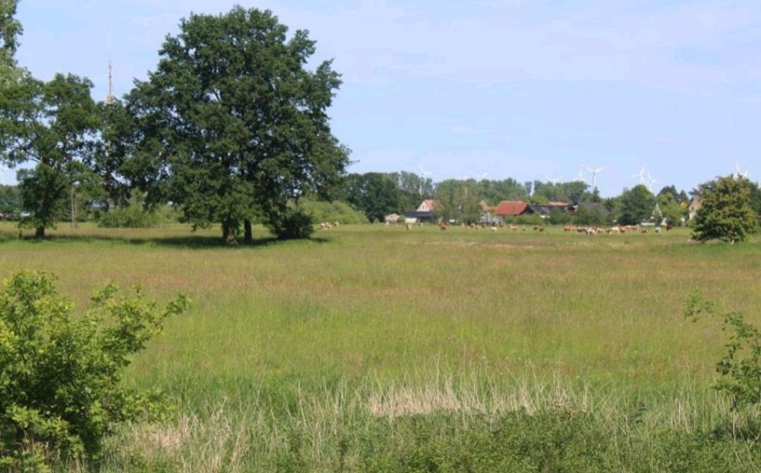Spreewald Ferienwohnung Noack Lübben エクステリア 写真