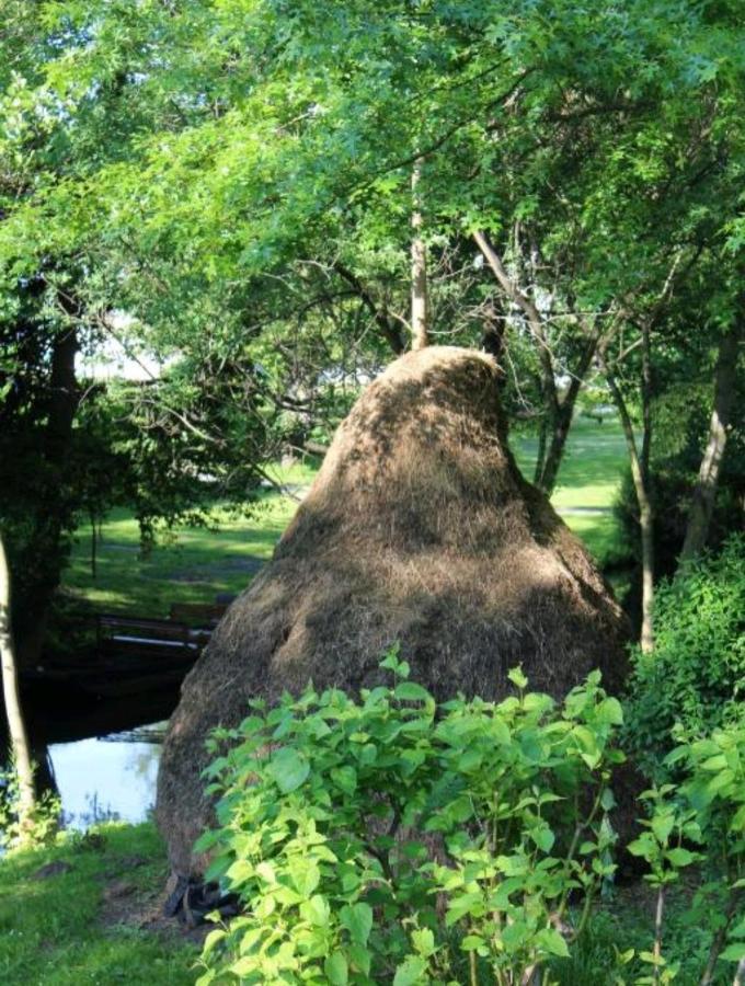 Spreewald Ferienwohnung Noack Lübben エクステリア 写真